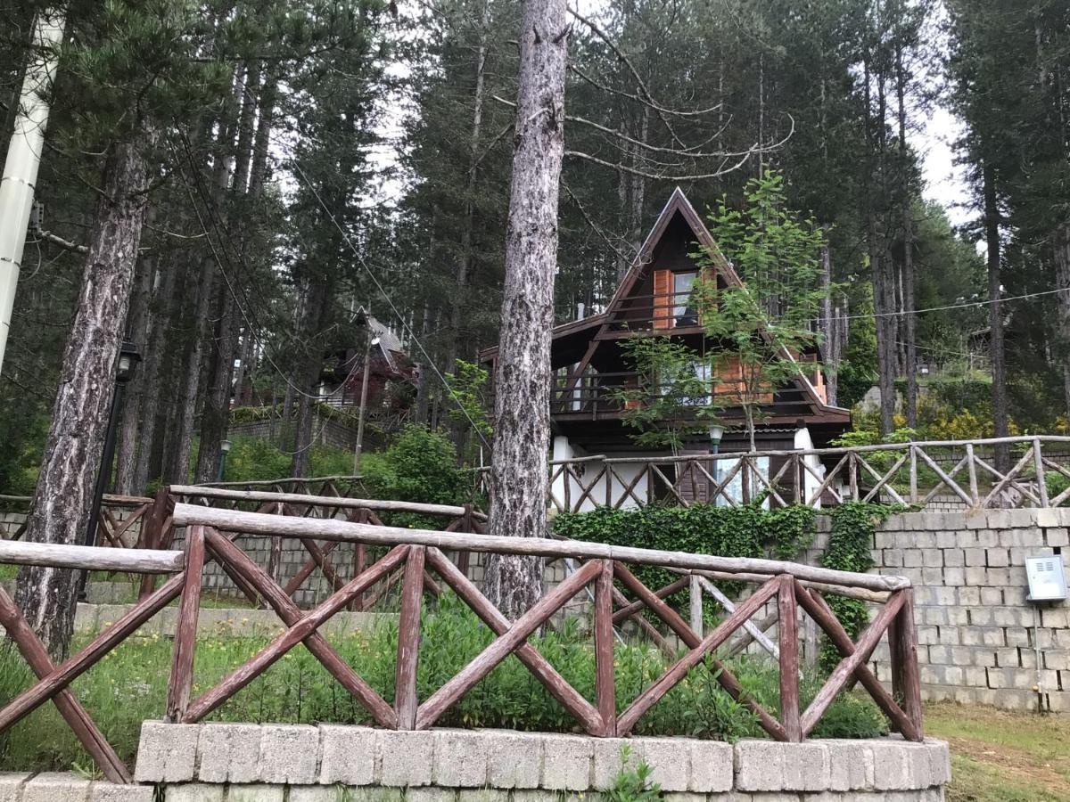 Chalet Natura Sport&Relax Cavaliere  Exterior photo