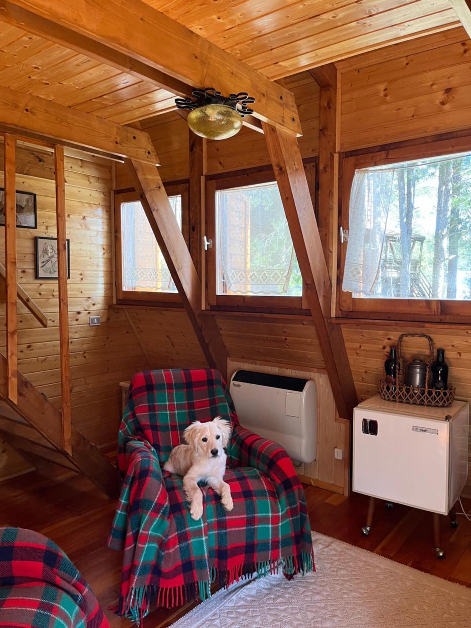 Chalet Natura Sport&Relax Cavaliere  Exterior photo